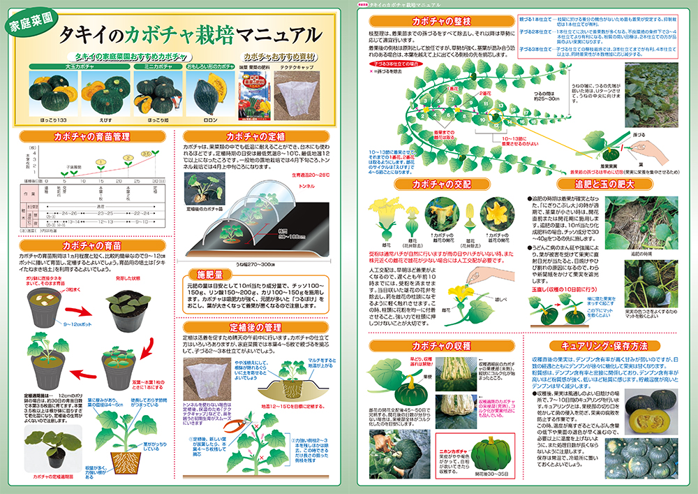 栽培マニュアル