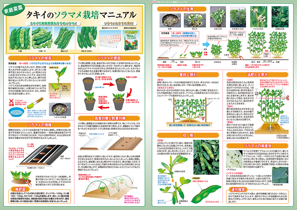 栽培マニュアル