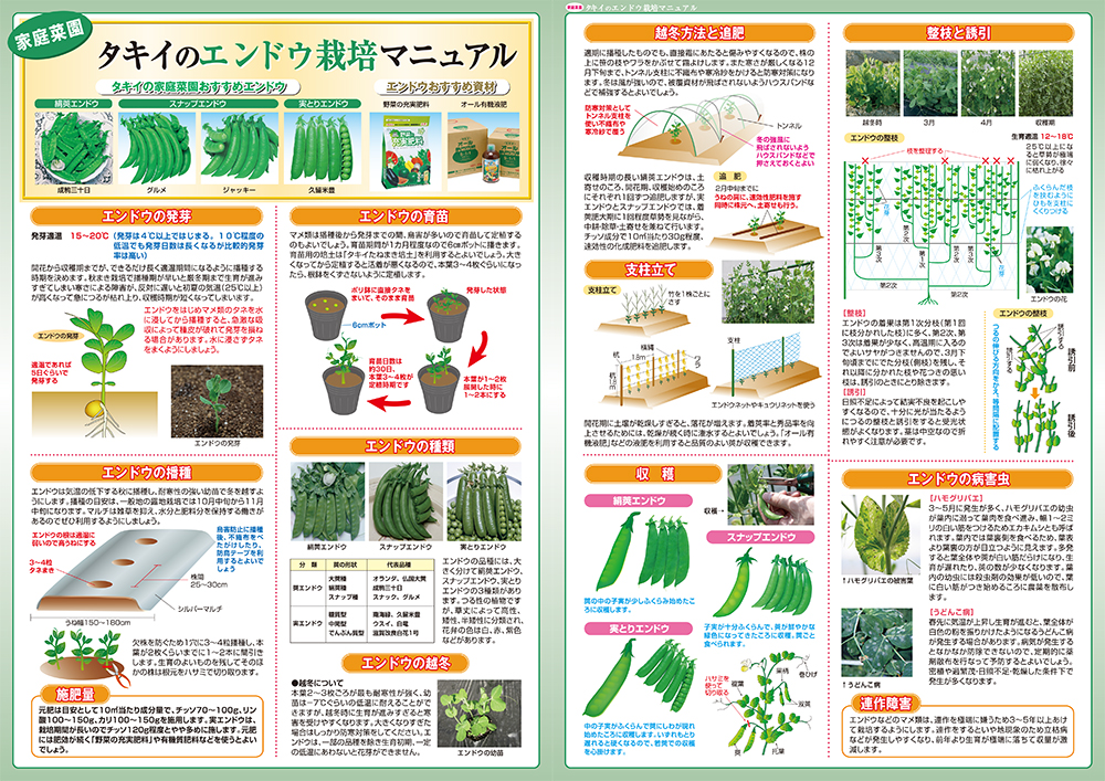 栽培マニュアル