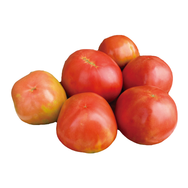 受粉のいらない 簡単トマト