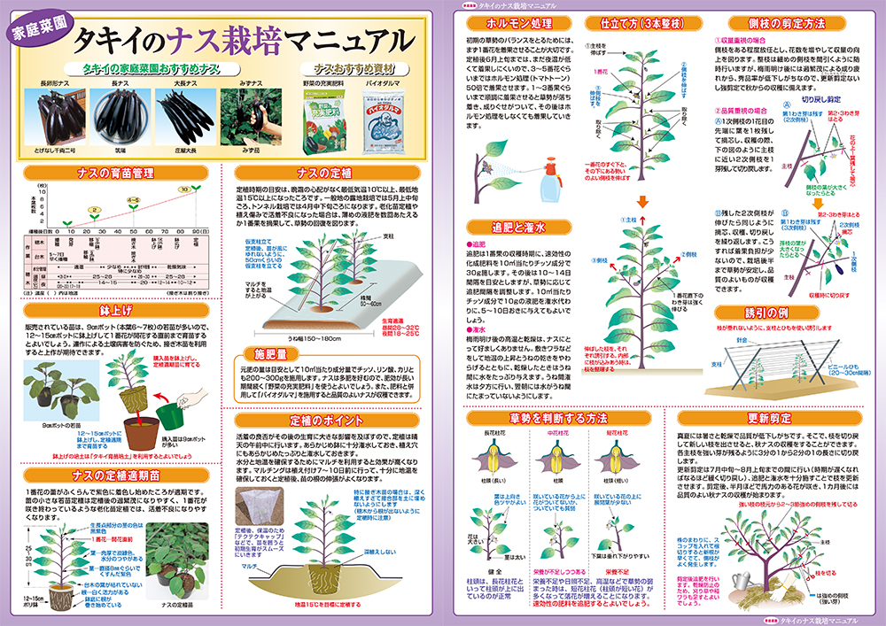 栽培マニュアル